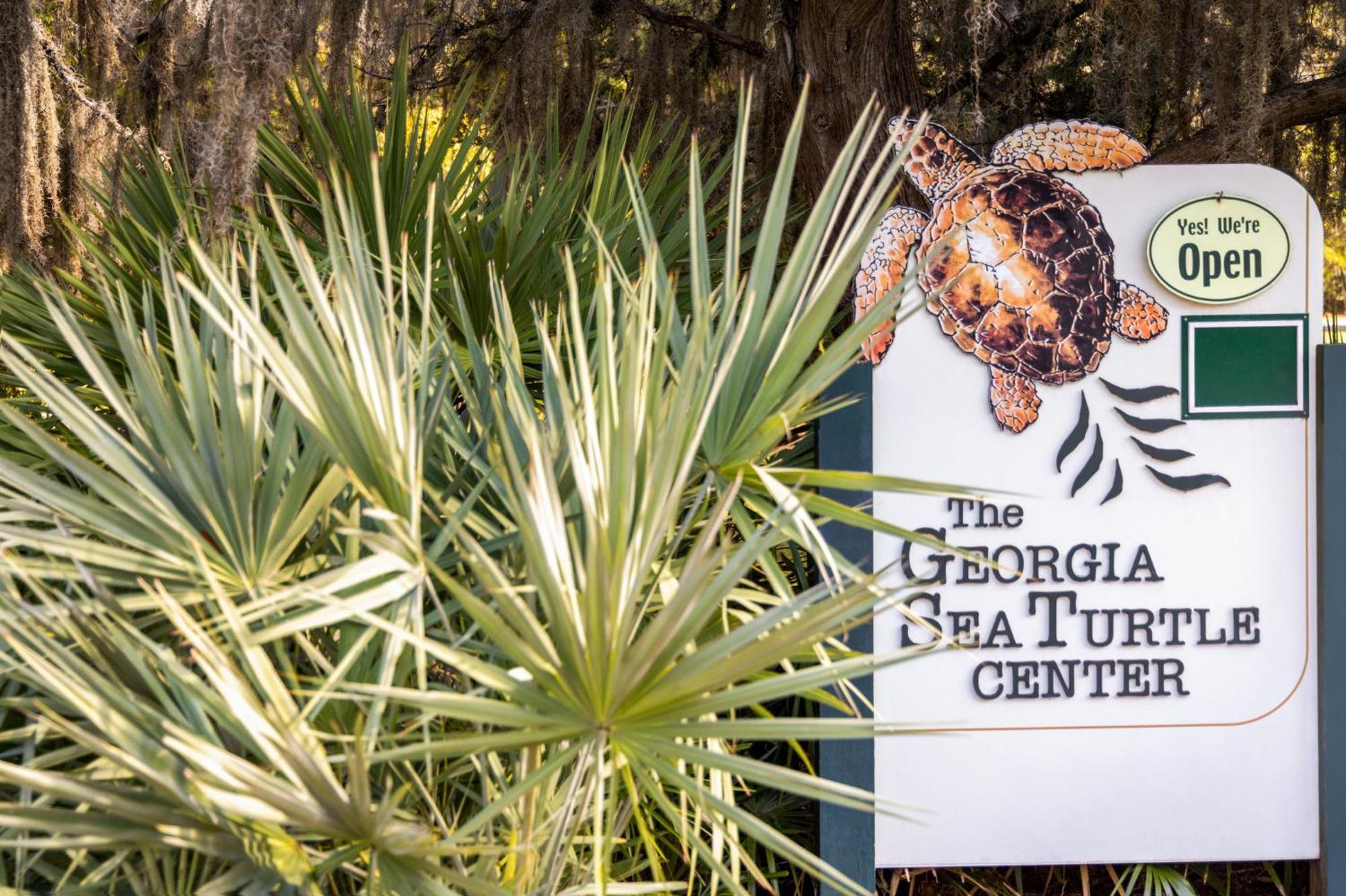 Holiday Inn Resort Jekyll Island By Ihg Exterior foto